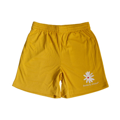 "DAISY" shorts